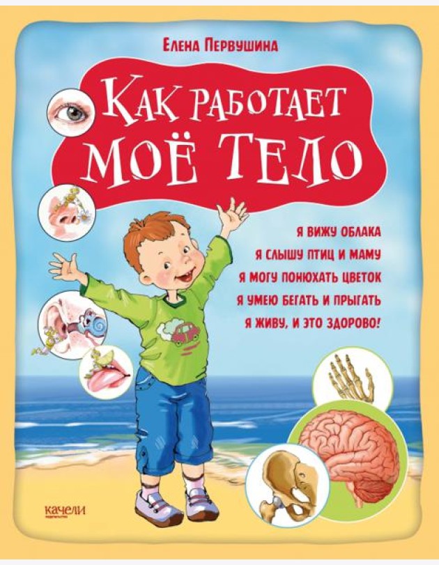 Как работает мое тело