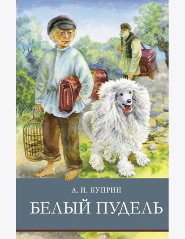 ШП. Белый пудель
