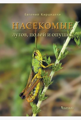 Насекомые лугов, полей и опушек