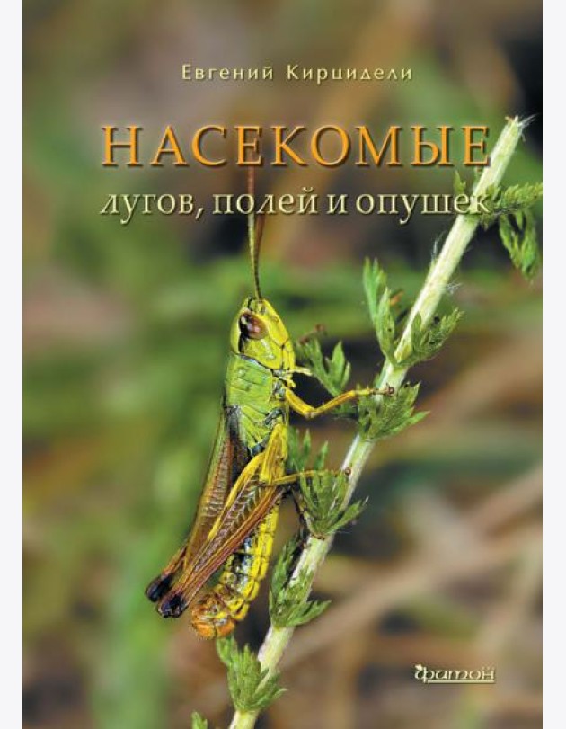Насекомые лугов, полей и опушек