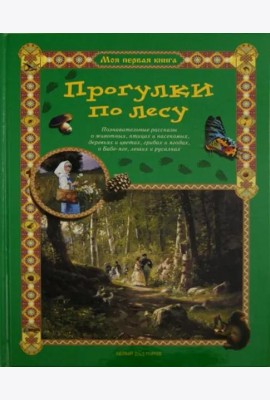 Прогулки по лесу