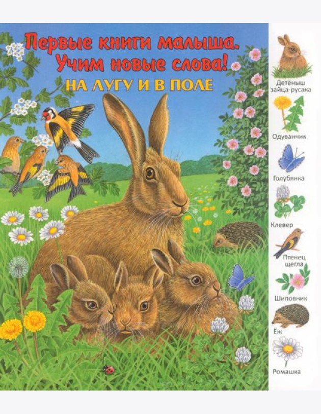 На лугу и в поле. Виммельбух