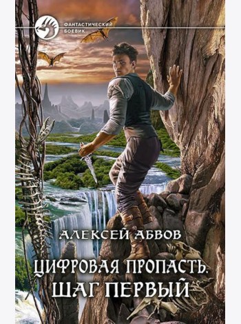 Цифровая пропасть. Шаг первый