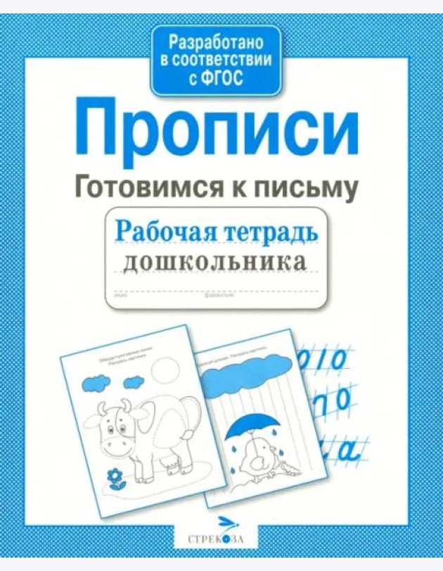 РабТетДошк Прописи Готовимся к письму