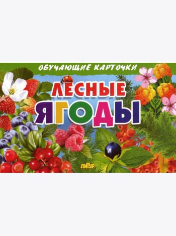 Лесные ягоды. Обучающие карточки