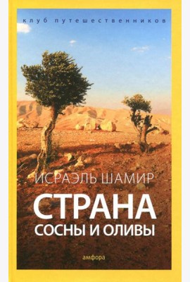 Страна сосны и оливы, или Неприметные прелести Святой земли