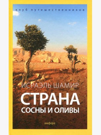 Страна сосны и оливы, или Неприметные прелести Святой земли