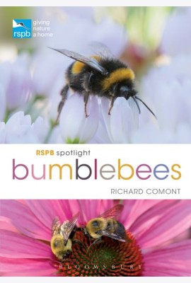 RSPB Spotlight Bumblebees