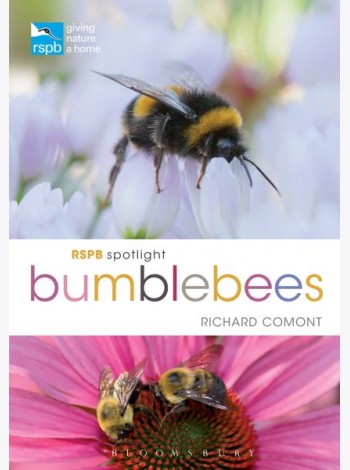 RSPB Spotlight Bumblebees