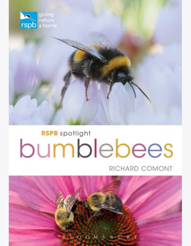 RSPB Spotlight Bumblebees