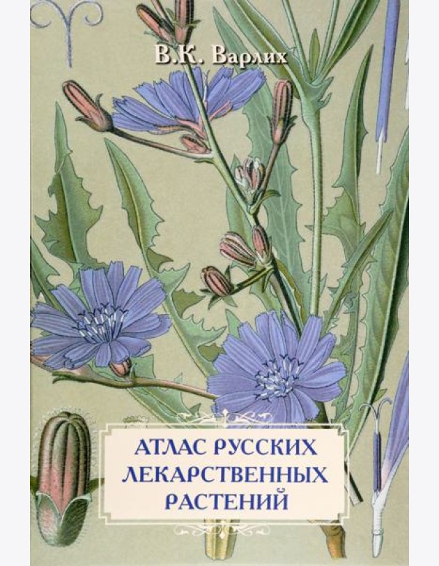 Атлас русских лекарственных растений. В. К. Варлих