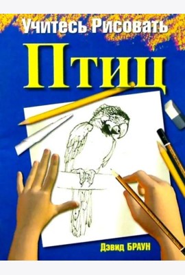 Учитесь рисовать птиц