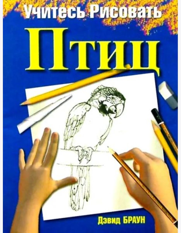 Учитесь рисовать птиц