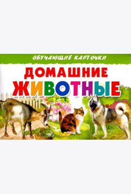 Домашние животные. Обучающие карточки