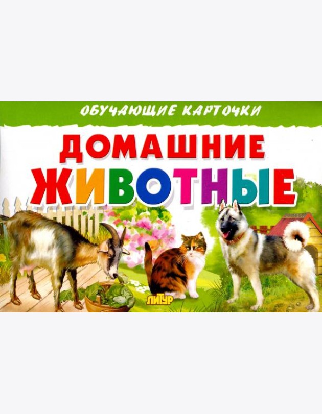 Домашние животные. Обучающие карточки