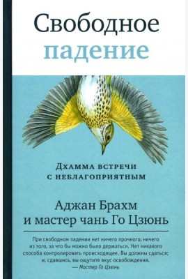 Свободное падение. Дхамма встречи с неблагоприятным