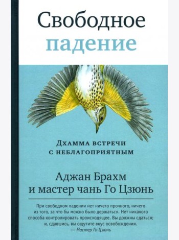 Свободное падение. Дхамма встречи с неблагоприятным