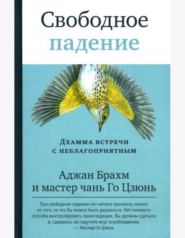 Свободное падение. Дхамма встречи с неблагоприятным