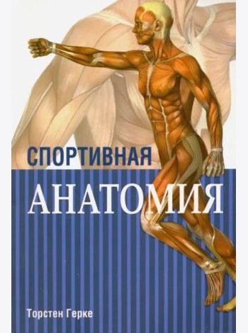 Спортивная анатомия