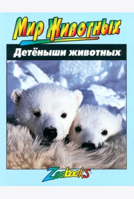 Детеныши животных