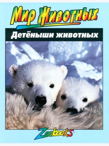 Детеныши животных