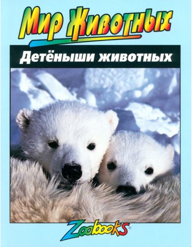 Детеныши животных