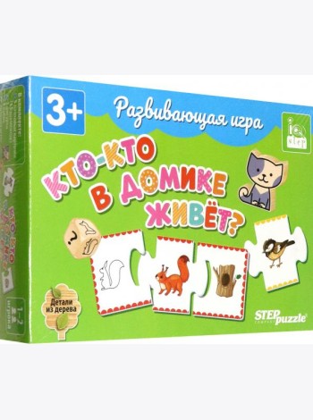 89862 Развивающая игра 