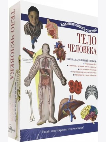 Познавательный набор. Тело человека