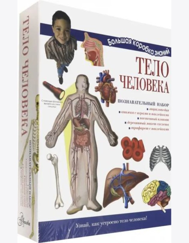 Познавательный набор. Тело человека