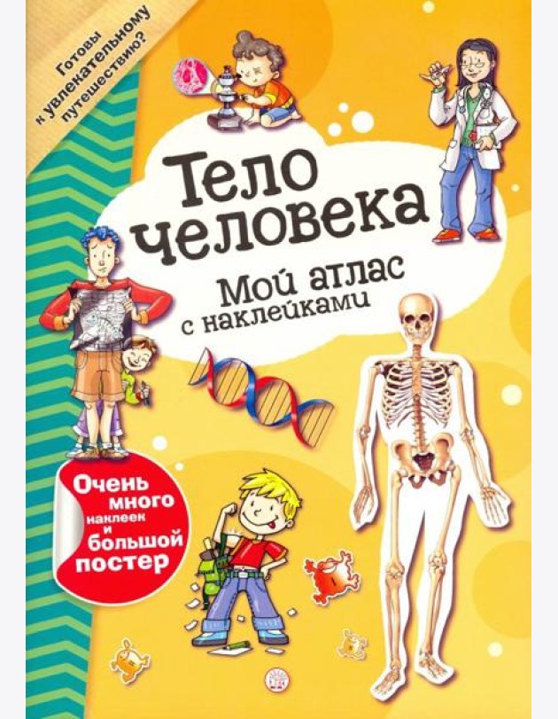 Мой атлас с наклейками. Тело человека