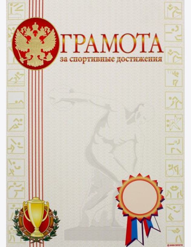 13506 Грамота за спортивные достижения