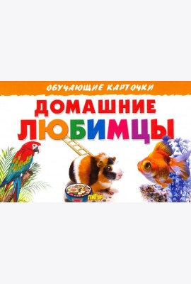 Домашние любимцы