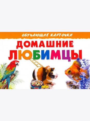 Домашние любимцы