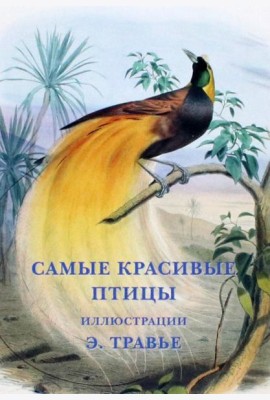 Набор открыток. Самые красивые птицы