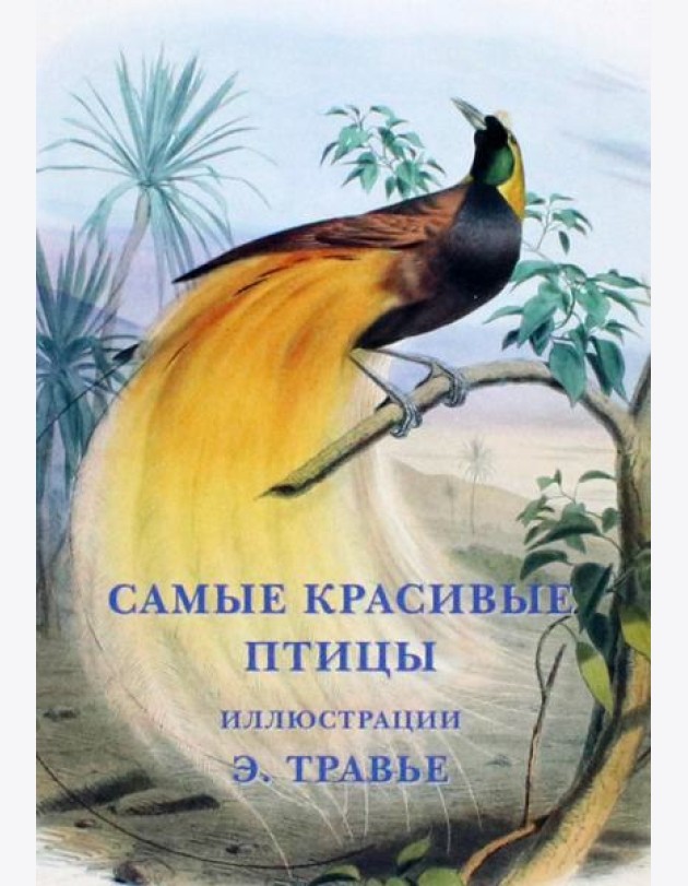 Набор открыток. Самые красивые птицы