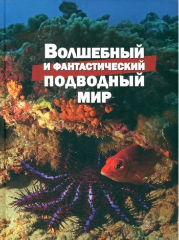 Волшебный и фантастический подводный мир