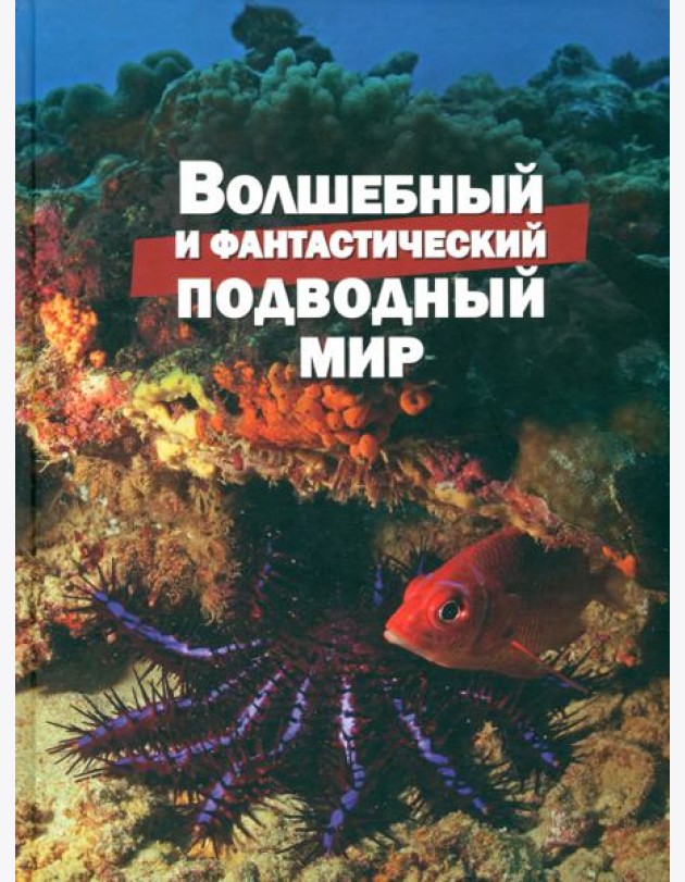 Волшебный и фантастический подводный мир