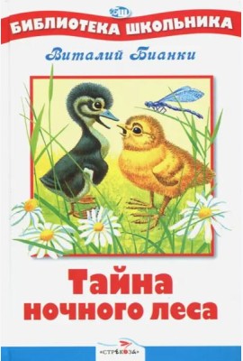 БШ. Тайна ночного леса