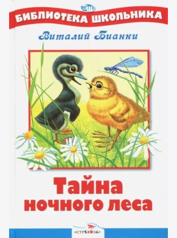 БШ. Тайна ночного леса