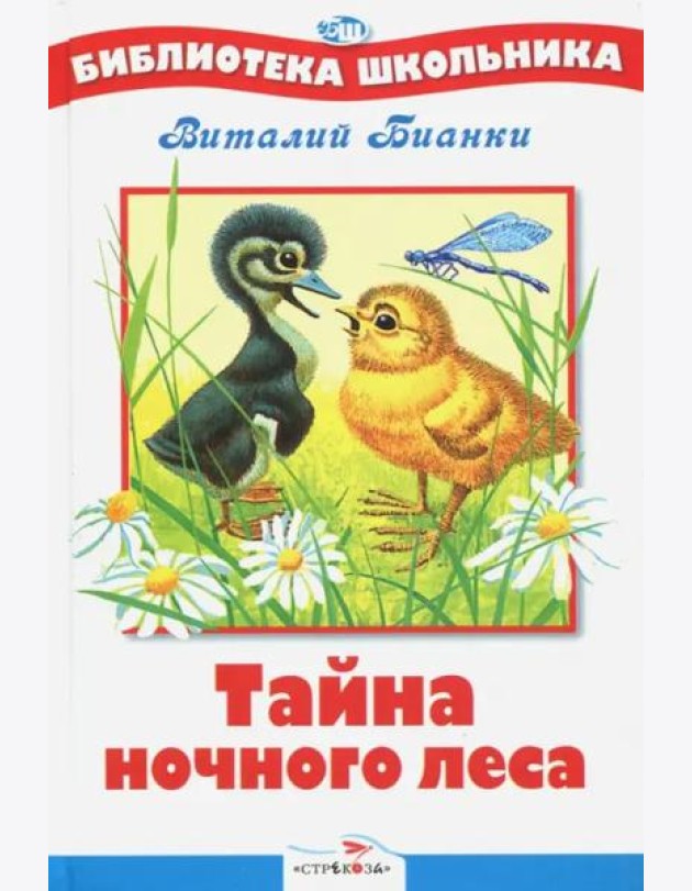 БШ. Тайна ночного леса