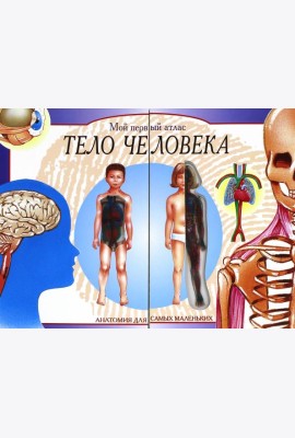 Тело человека. Мой первый атлас