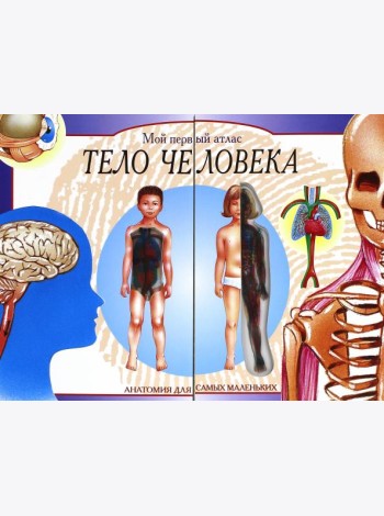 Тело человека. Мой первый атлас