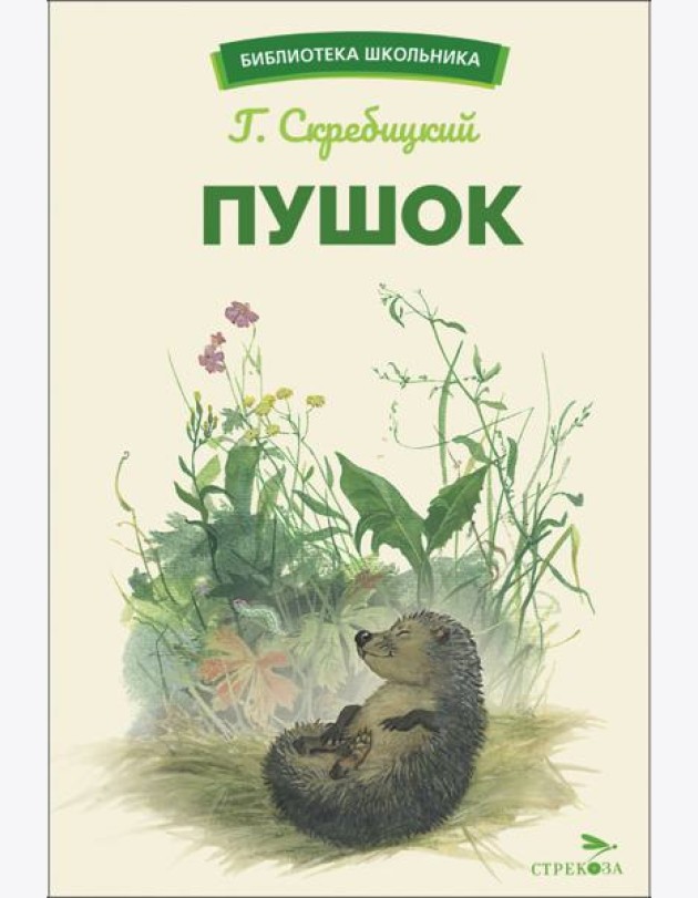 БШ. Пушок