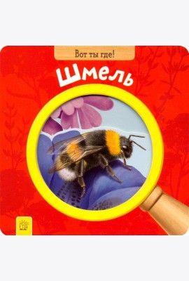 Вот ты где! Шмель