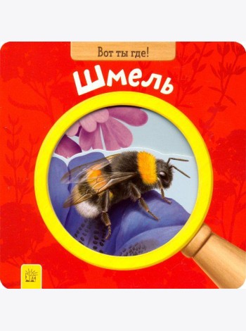 Вот ты где! Шмель