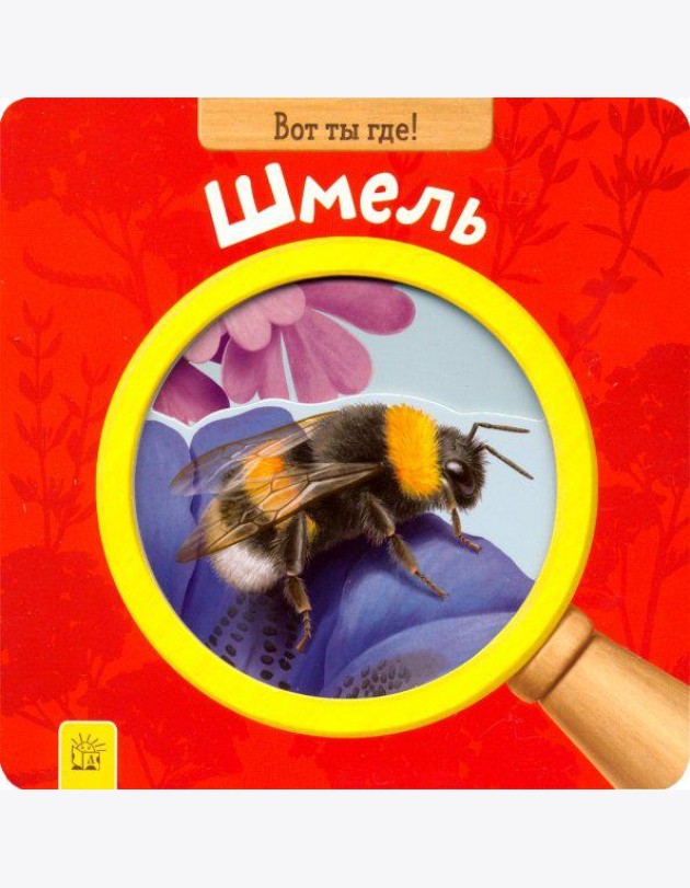 Вот ты где! Шмель