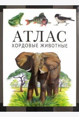 Хордовые животные. Атлас