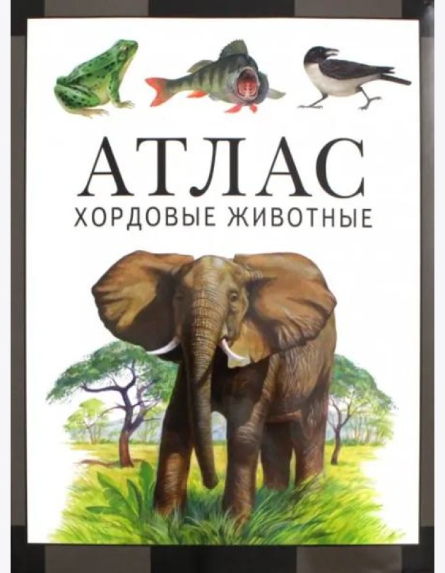 Хордовые животные. Атлас