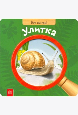 Вот ты где! Улитка