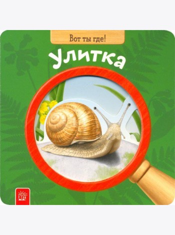 Вот ты где! Улитка